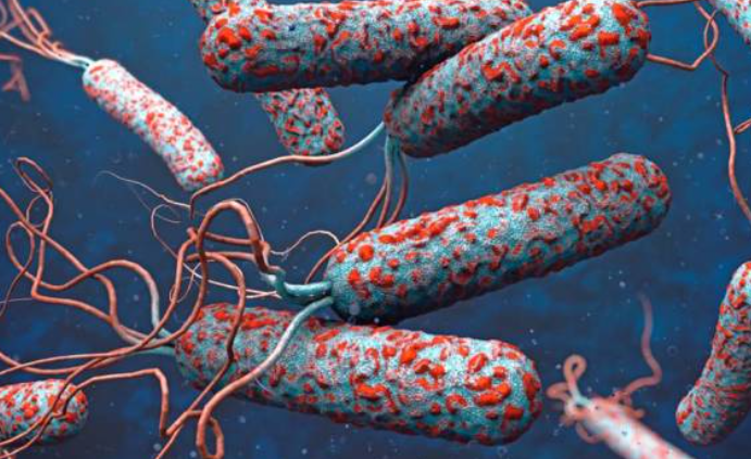 Un total de 27 países registran brotes de cólera en 9 meses