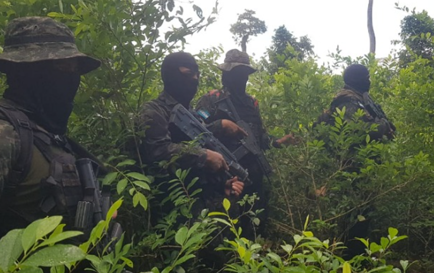 FFAA aseguran terreno y destruyen plantación de droga en Gracias a Dios