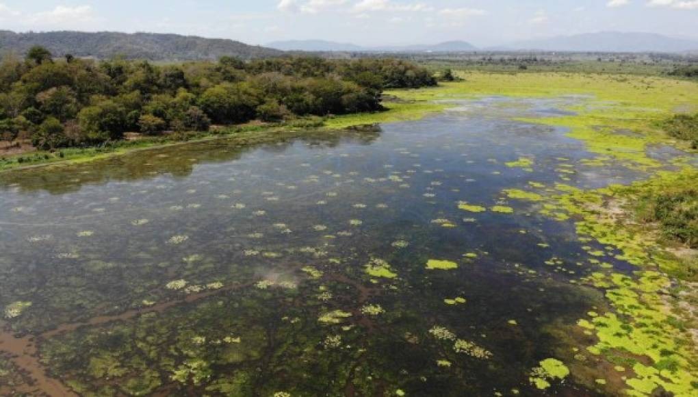 Congreso del Pueblo aprueba importantes decretos en pro del medio ambiente y educación ambiental Congreso del Pueblo aprueba importantes decretos en pro del medio ambiente y educación ambiental
