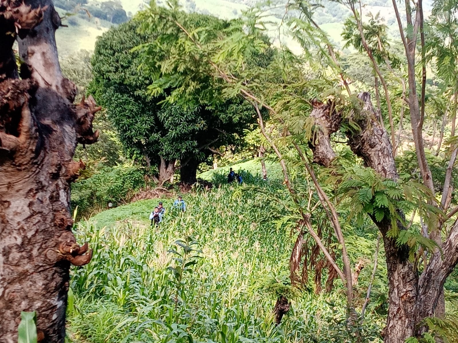 Capturan a dos integrantes de la banda «Los  Zorros»  que tenían raptada a una menor de 14 años