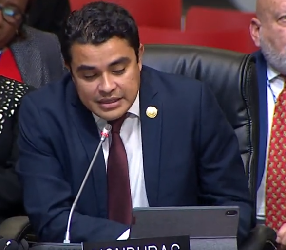 Honduras acusa a la OEA de avalar fraudes electorales