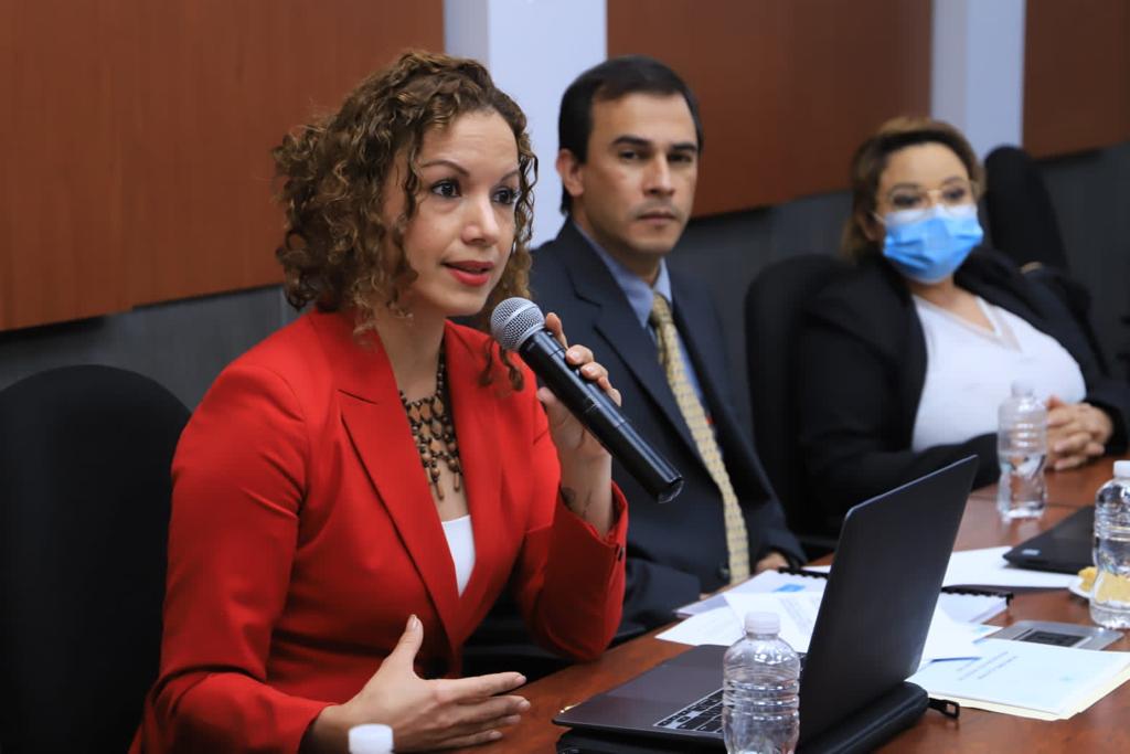 CN y Secretaría de Derechos Humanos buscan mecanismos de protección para comunicadores, periodistas y operadores de justicia