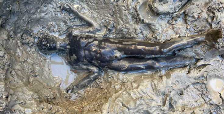 Encuentran 24 estatuas de más de dos mil años que podrían “reescribir la historia” Encuentran 24 estatuas de más de dos mil años que podrían “reescribir la historia”