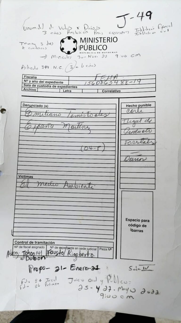Tres años de cárcel para acusado de provocar caída de varios árboles en el parque de Ojojona.