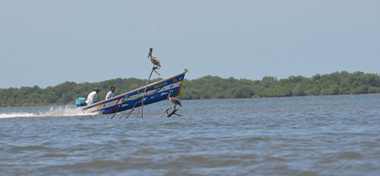 Hondureños y salvadoreños capturados faenando en el Pacífico de Nicaragua Hondureños y salvadoreños capturados faenando en el Pacífico de Nicaragua