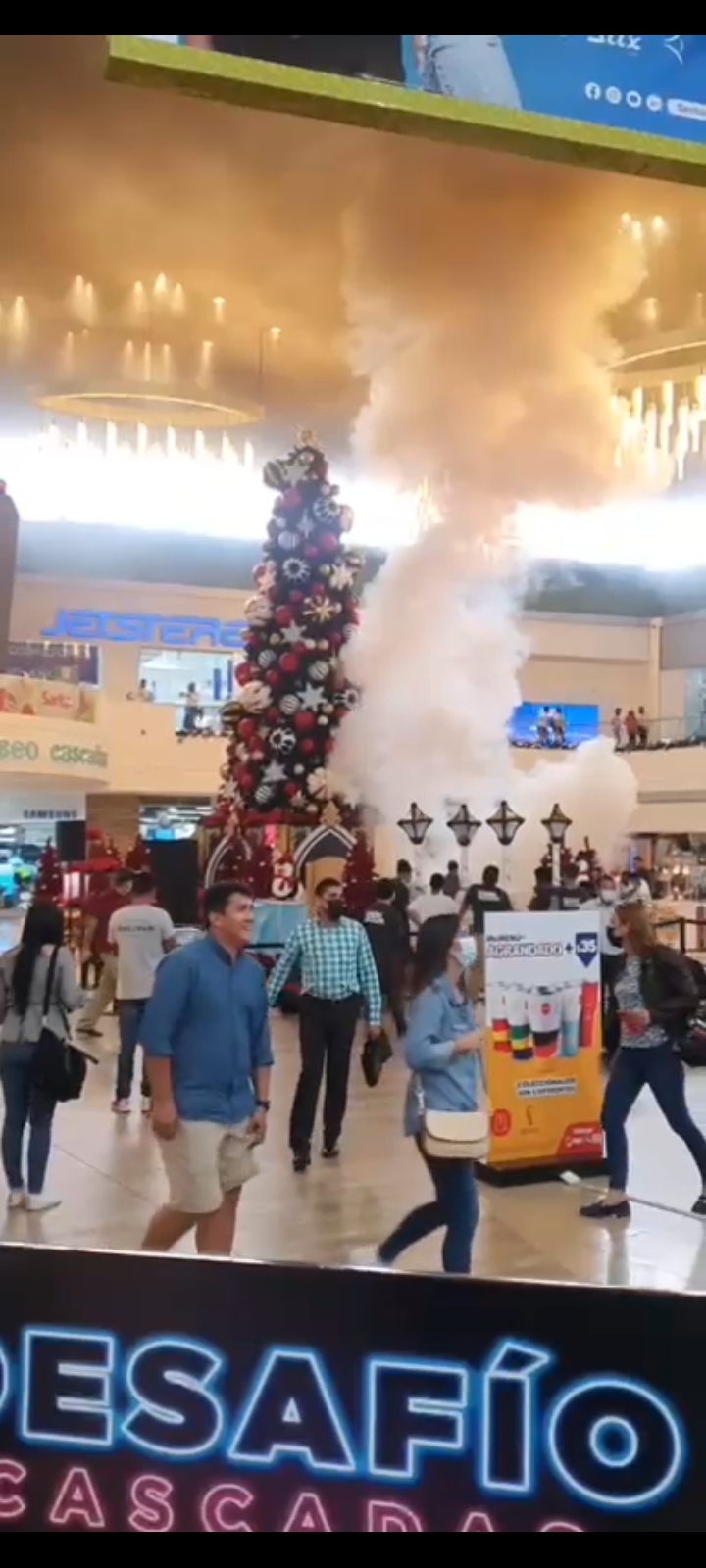 Se adelantó el Grinch a la capirucha