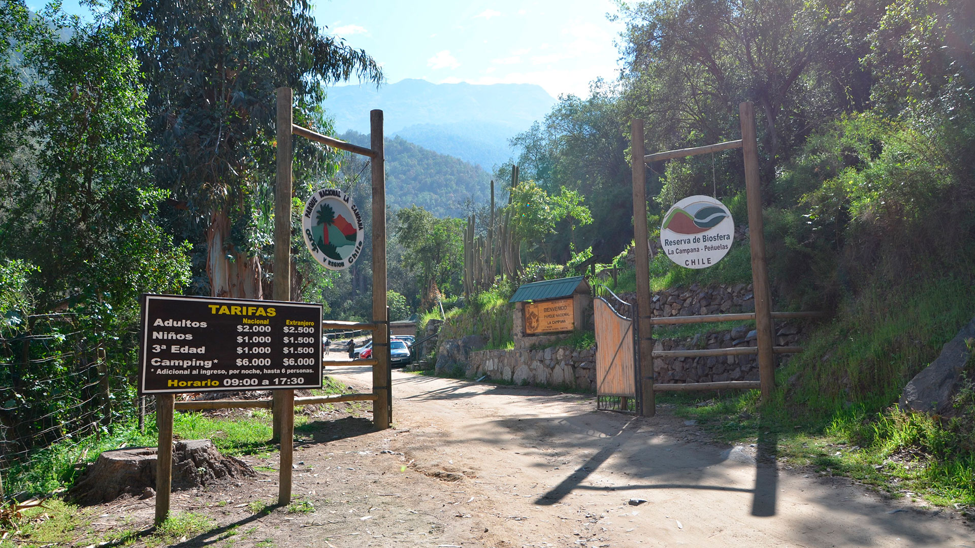 Denuncian plantación de marihuana en un Parque Nacional en Chile
