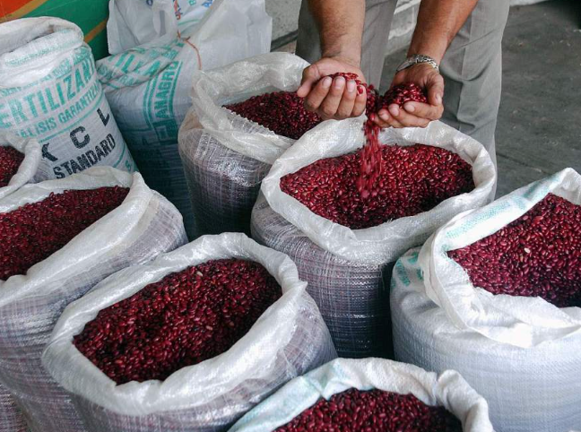 Productores de frijoles a nivel nacional a reúnen de emergencia