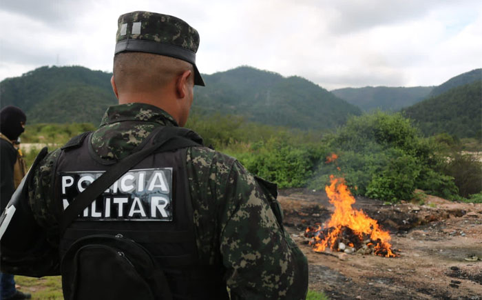 Incineran 250 kilos de cocaína incautados en varias operaciones policiales
