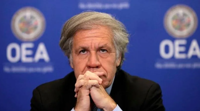 OEA aprueba contratar empresa para investigar a Luis Almagro por relación con una asistente OEA aprueba contratar empresa para investigar a Luis Almagro por relación con una asistente