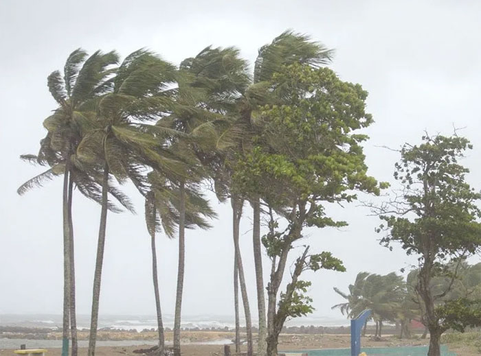 Vientos huracanados por Lisa en Islas de la Bahía