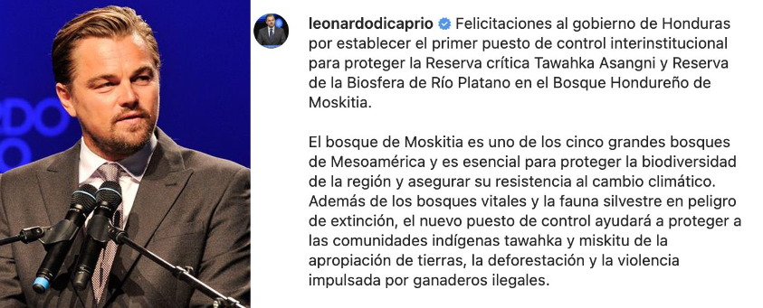 Leonardo DiCaprio felicita a Honduras por proteger reservas Tawahka y la Biosfera del Río Plátano