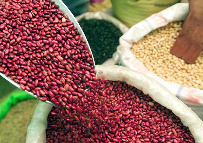 Gobierno fija en L1,500 el precio de garantía del quintal del frijol Gobierno fija en L1,500 el precio de garantía del quintal del frijol