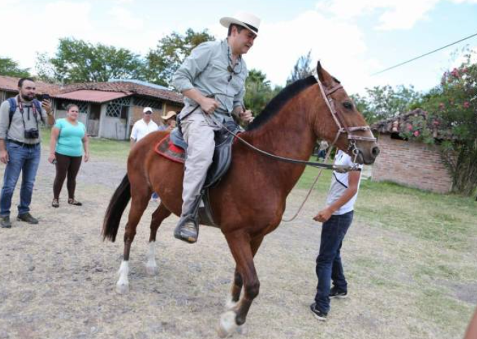 Ponen a la venta nuevamente los caballos pura sangre que fueron incautados al expresidente Juan Orlando Hernández