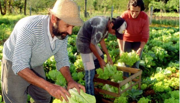 FAO reúne a Latinoamérica y el Caribe para impulsar la agricultura familiar