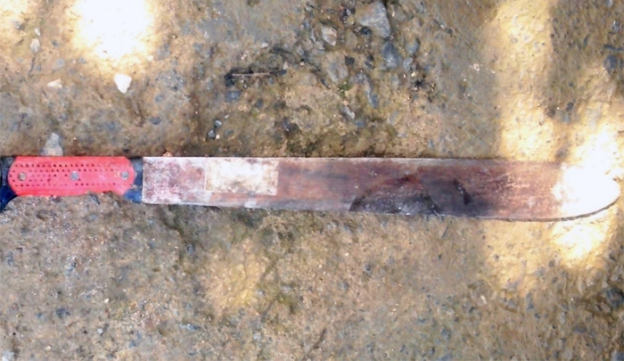 Frente a su hijo mujer es atacada a machetazos en Copán