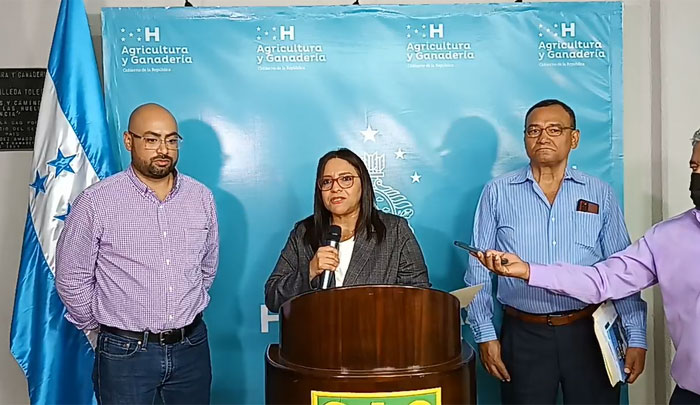 No hay presencia de influenza aviar en aves domésticas, informa la SAG No hay presencia de influenza aviar en aves domésticas, informa la SAG