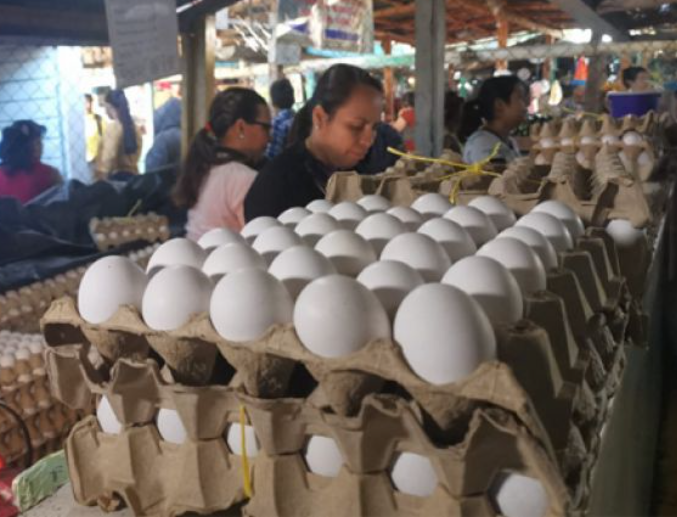 Aumenta cinco lempiras el cartón de huevo grande Aumenta cinco lempiras el cartón de huevo grande
