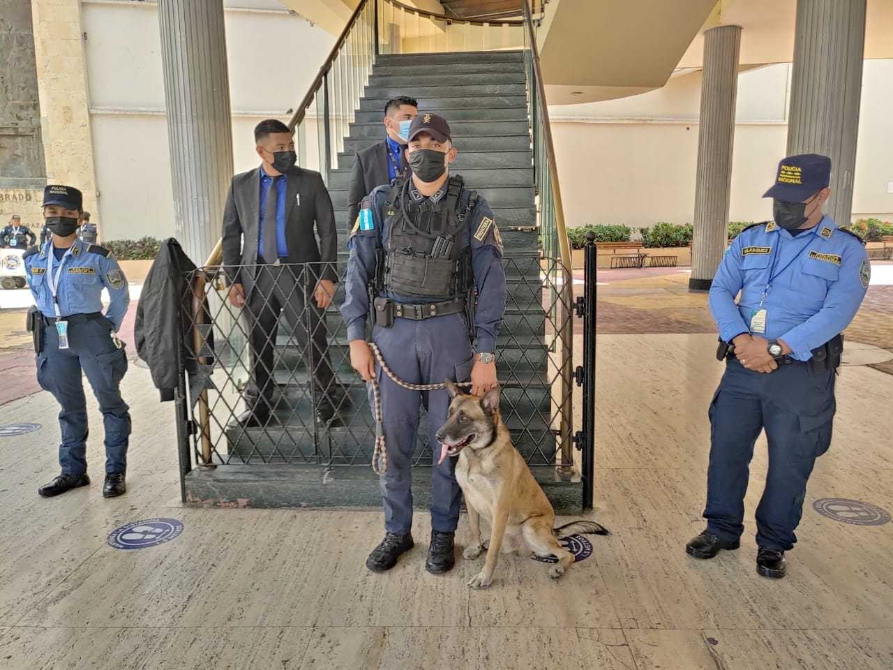 «K-9» La Unidad Canina especializada en Anti-Bombas realizó proceso de inspección en el Congreso Nacional «K-9» La Unidad Canina especializada en Anti-Bombas realizó proceso de inspección en el Congreso Nacional