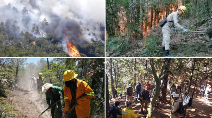 Benemérito cuerpo de bomberos continúa labores para sofocar incendio en Celaque Benemérito cuerpo de bomberos continúa labores para sofocar incendio en Celaque