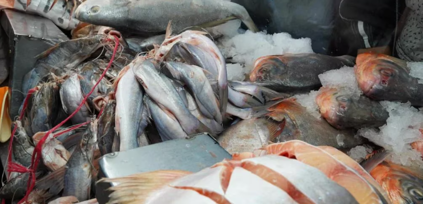 ¡ALISTE EL BOLSILLO! Libra de pescado sube entre 3 y 5 lempiras