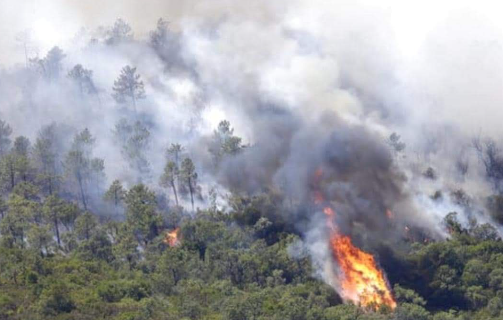 Honduras inicia descargas aéreas de agua en incendio en Montaña de Celaque Honduras inicia descargas aéreas de agua en incendio en Montaña de Celaque