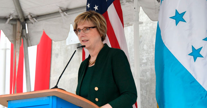 Embajadora Dogu mostró su preocupación por impacto que tendría Ley de Justicia Tributaria