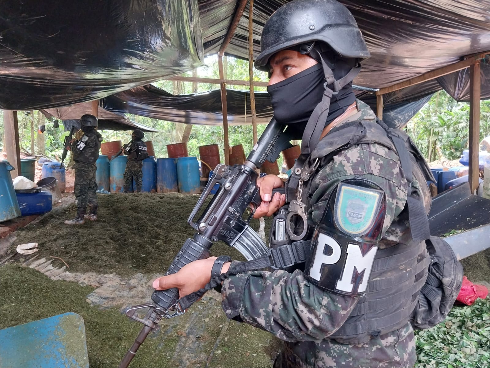 Localizan plantación de 105 manzanas aproximadas de cultivos de coca en Olancho Localizan plantación de 105 manzanas aproximadas de cultivos de coca en Olancho