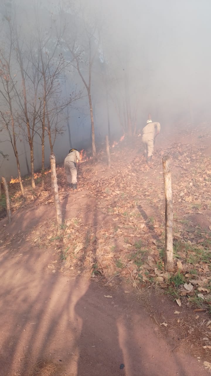 Nuevamente la Tigra arde en llamas