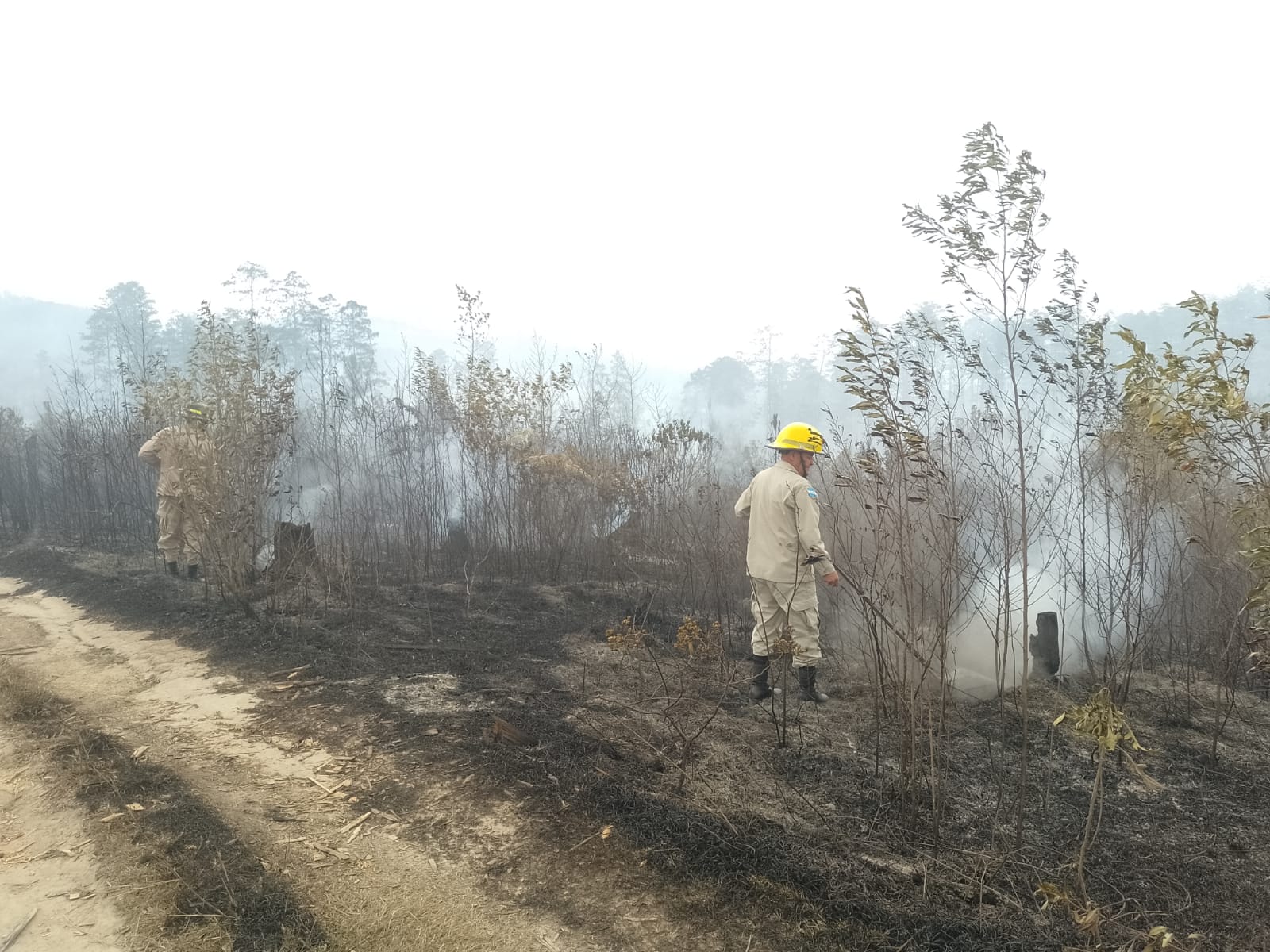 Más de 100 barrios y colonias de la capital tendrán problemas de agua por los incendios Más de 100 barrios y colonias de la capital tendrán problemas de agua por los incendios