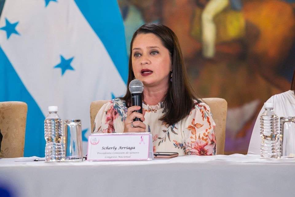 Congresista Scherly Arriaga: “Apoyaremos a la presidenta Xiomara Castro en las decisiones que tome”