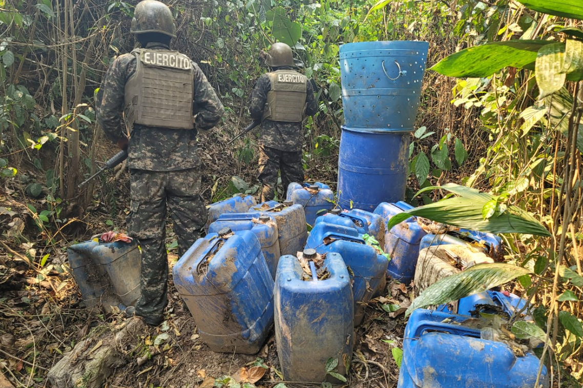 FFAA asegura 50 manzanas de plantación de arbustos de coca en Patuca, Olancho