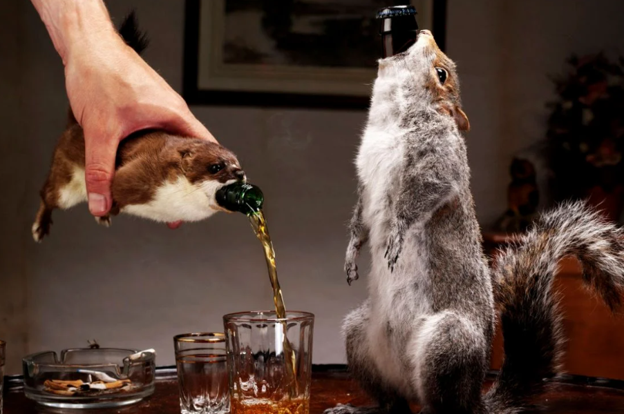 La cerveza más cara del mundo cuesta 20.000 dólares… y se sirve en una ardilla