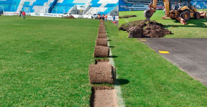 Transparencia remite a Fiscalía y Procuraduría informe sobre compra e instalación de grama en Estadio Nacional