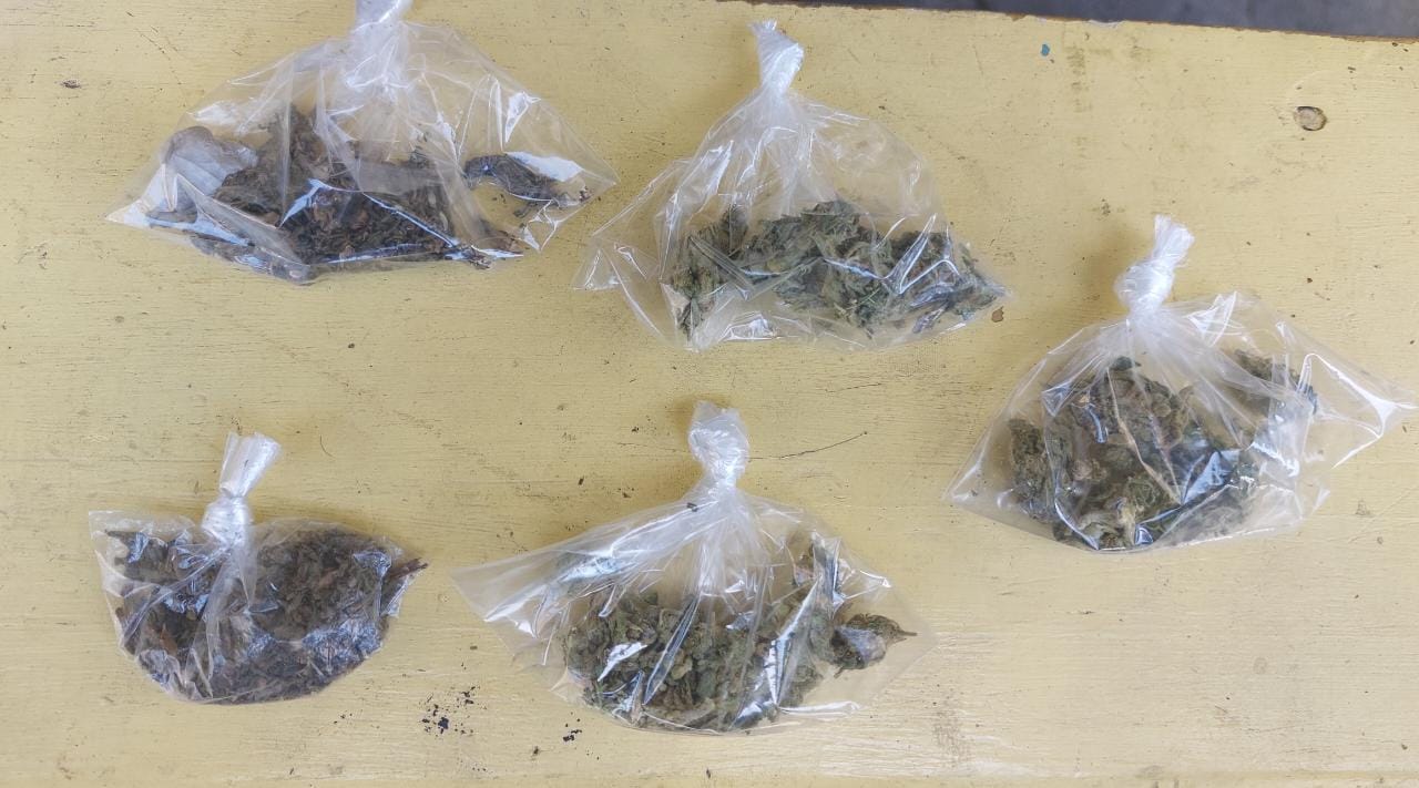 Motorizados de la UMEP-1 detienen a tres sujetos con varias bolsitas de marihuana Motorizados de la UMEP-1 detienen a tres sujetos con varias bolsitas de marihuana