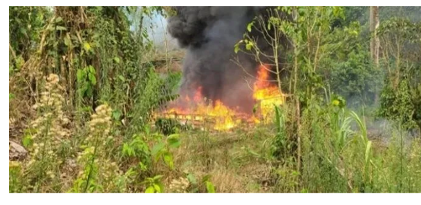 Incineran plantación de arbustos de coca en el departamento de Olancho