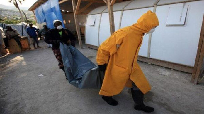 Quince muertos por un brote de cólera en Sudáfrica