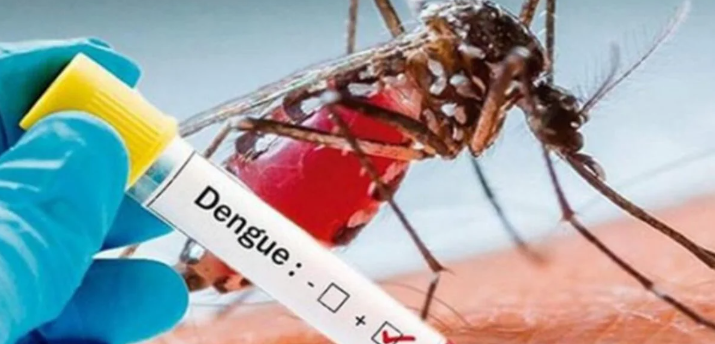 Por dengue ingresan 2 menores de edad al Hospital Materno Infantil