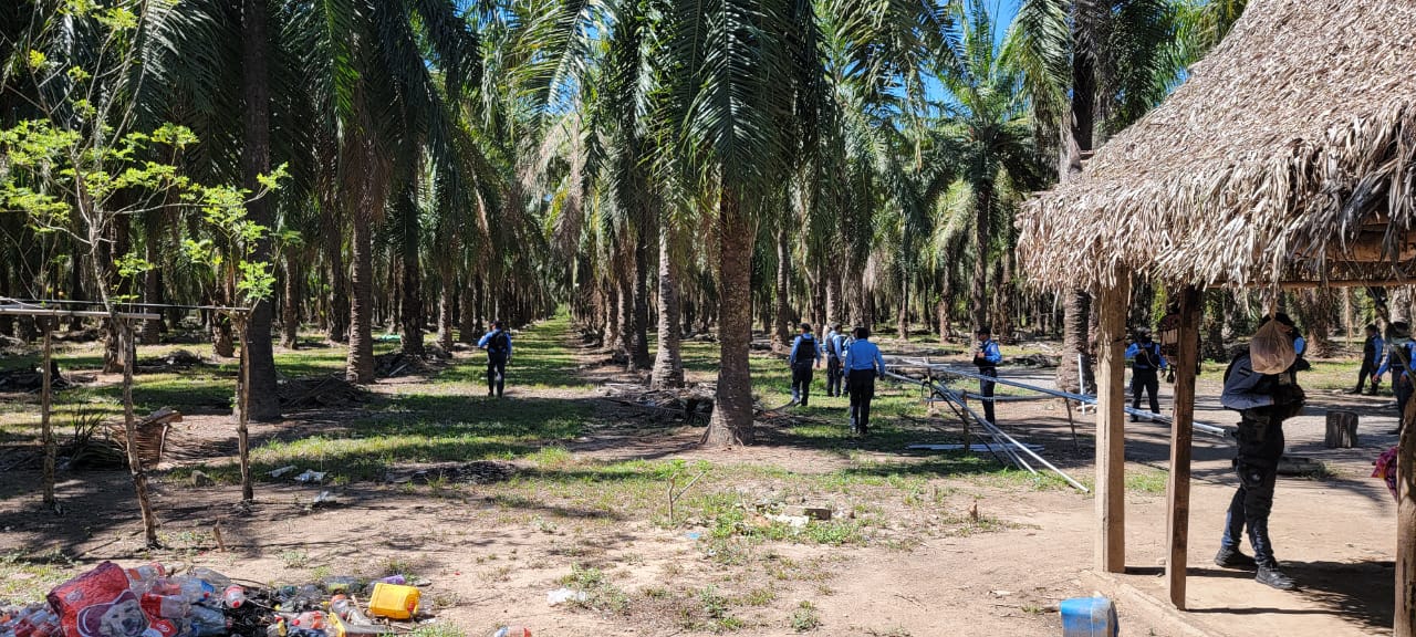 Policía Nacional ejecuta desalojos en fincas de palma africana invadidas en las aldeas Chapagua y Charros de Trujillo, Colón Policía Nacional ejecuta desalojos en fincas de palma africana invadidas en las aldeas Chapagua y Charros de Trujillo, Colón
