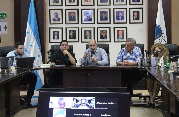 Gobierno crea comisión para solventar crisis energética