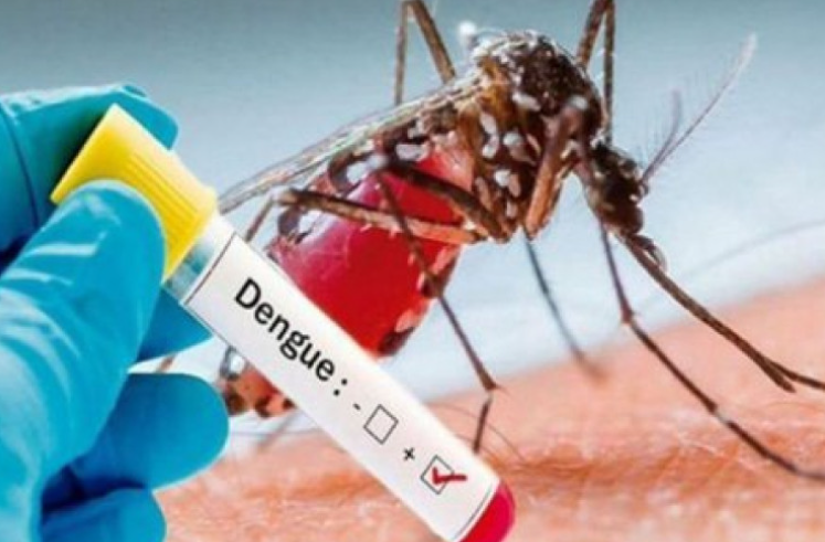 Dr. Umaña reitera llamado a Salud para que decrete emergencia por aumento de casos dengue en el territorio nacional Dr. Umaña reitera llamado a Salud para que decrete emergencia por aumento de casos dengue en el territorio nacional