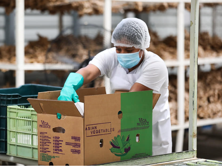 Canciller Reina: “Ya hay algunas empresas de café y camarones autorizadas para exportar a China” Canciller Reina: “Ya hay algunas empresas de café y camarones autorizadas para exportar a China”