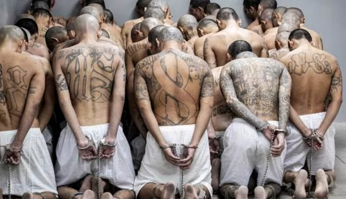 Aprueban en El Salvador aumentar penas para líderes de pandillas y procesos por estructura Aprueban en El Salvador aumentar penas para líderes de pandillas y procesos por estructura