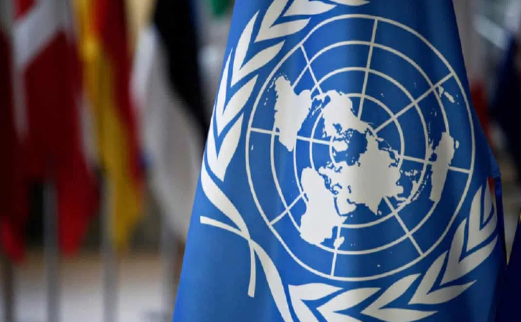 Canciller: Misión de la ONU regresará pronto