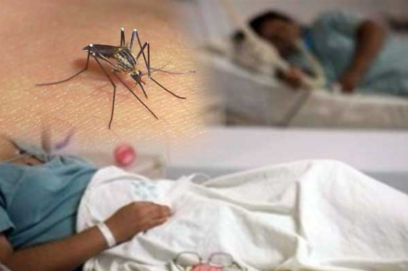 Epidemia por dengue: Al menos 7 departamentos del país afectados