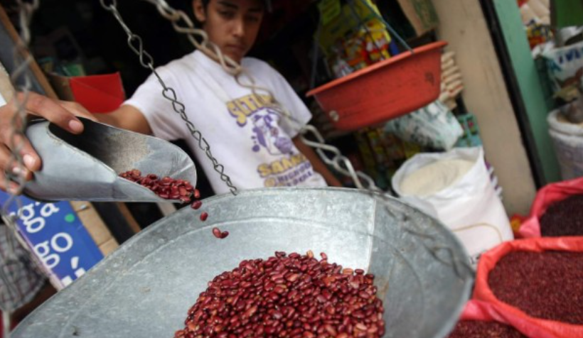 Prograno: Honduras tendrá que importar frijol para suplir demanda nacional Prograno: Honduras tendrá que importar frijol para suplir demanda nacional
