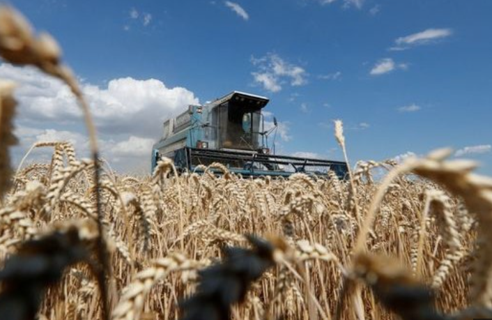 EEUU calificó de “acto de crueldad” la decisión rusa de terminar exportación de cereales ucranianos EEUU calificó de “acto de crueldad” la decisión rusa de terminar exportación de cereales ucranianos