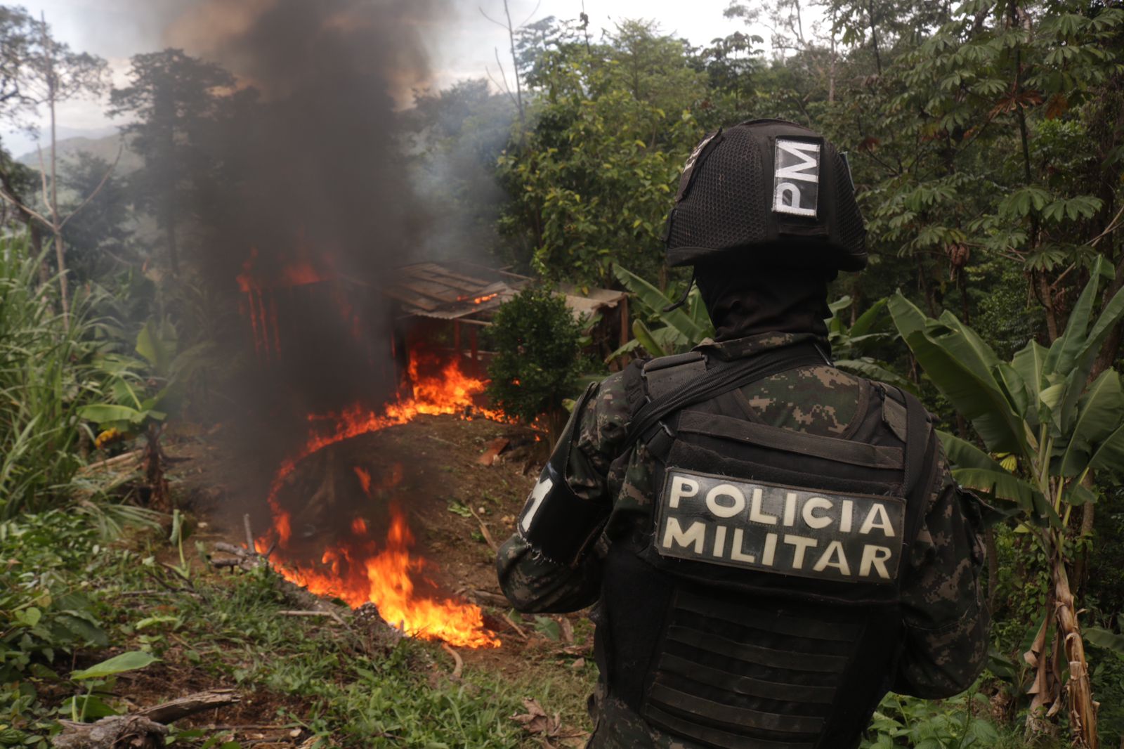 PMOP incinera plantación de droga en Yoro