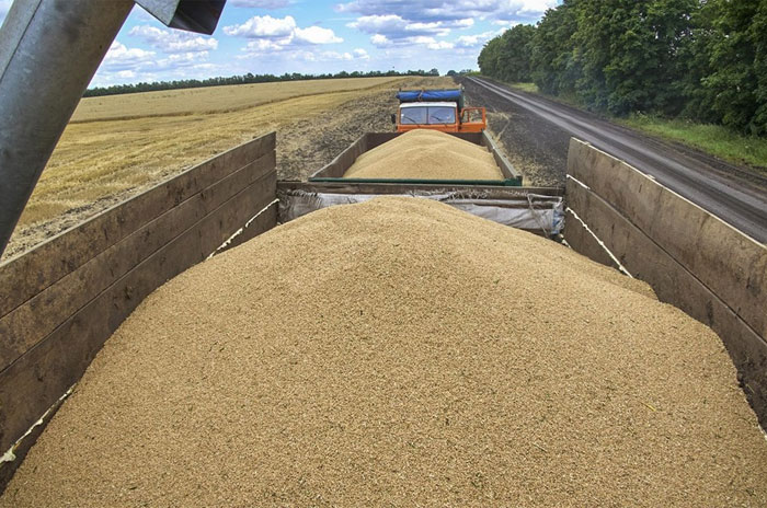 ONU acusa a Rusia de poner en riesgo la seguridad alimentaria