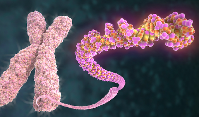 Día Mundial del síndrome de Turner Día Mundial del síndrome de Turner